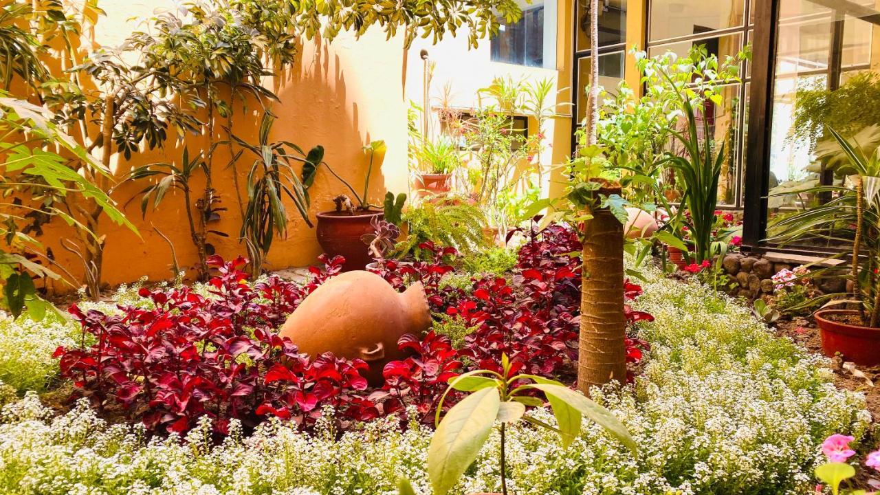 Arequipa Inn المظهر الخارجي الصورة